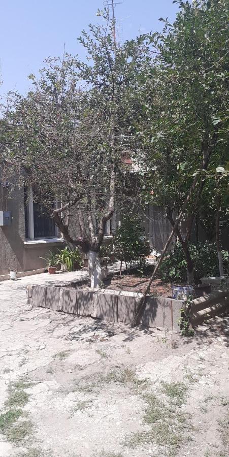 Guest House Otilia Ghiumri Exterior foto